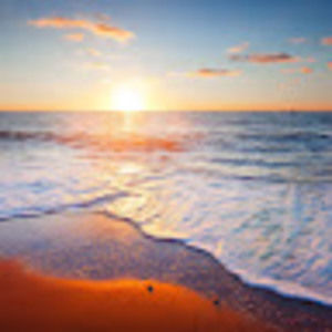 Meet your Posher, Naomi